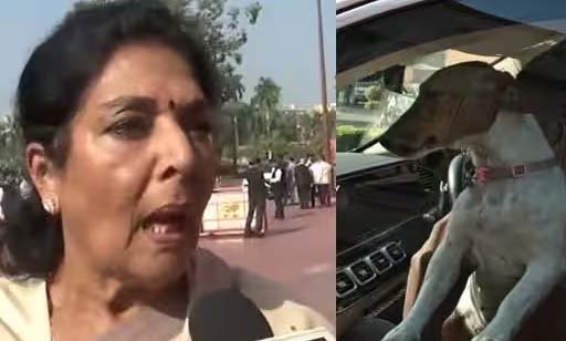 பார்லி.க்கு காரில் நாயுடன்  வந்த காங்கிரஸ் பெண் எம்.பி